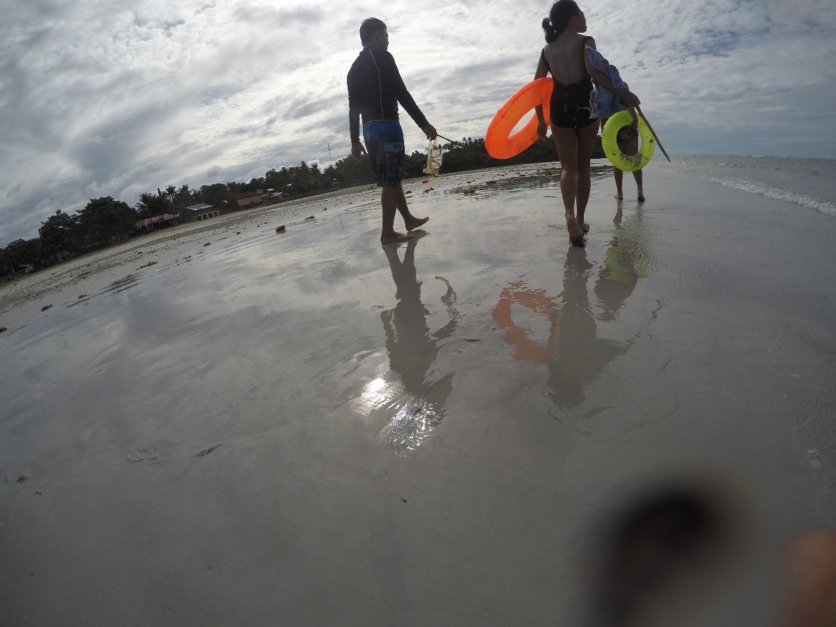 Shore, beach