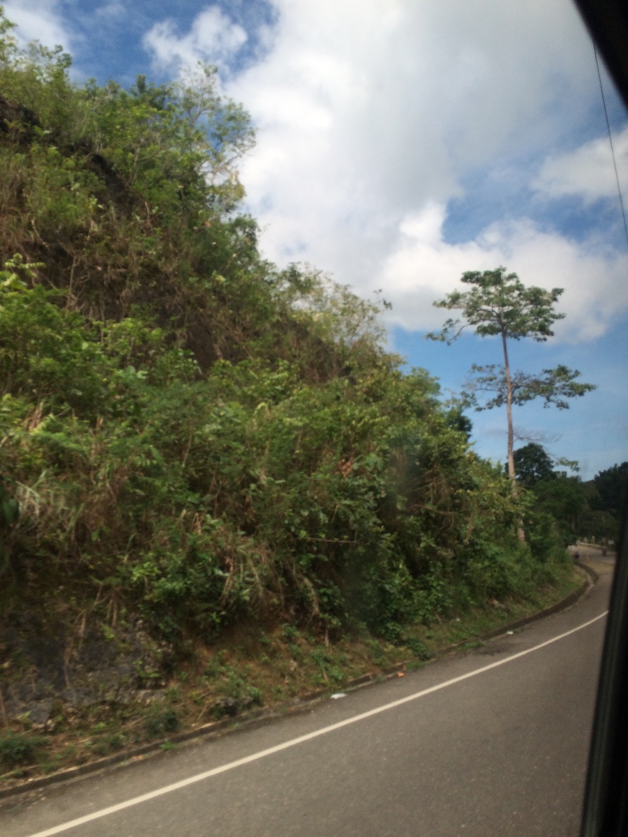 Transcentral Highway