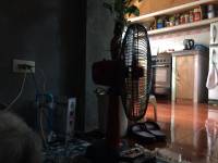 Exhaust fan