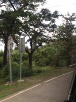 Transcentral Highway