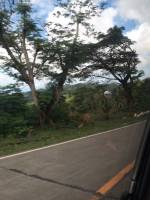 Transcentral Highway