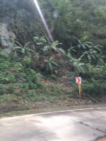 Transcentral Highway