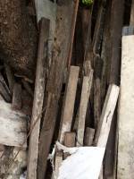 Pile of wood