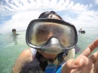 Beach, snorkeling, whats up
