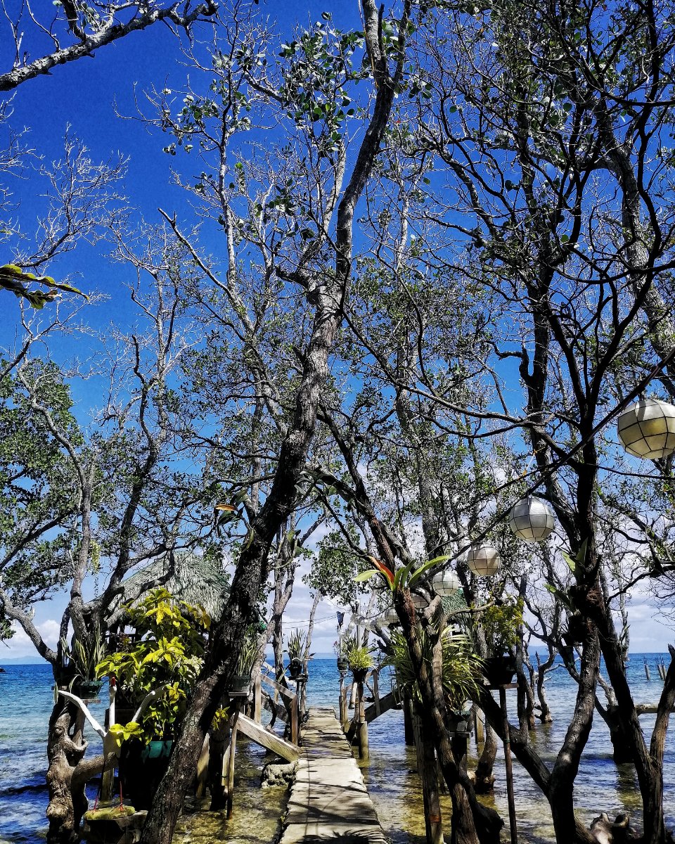 Beach, paradise