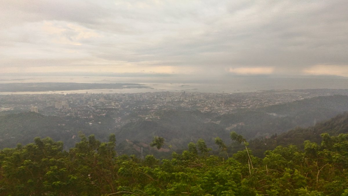 Tops, view