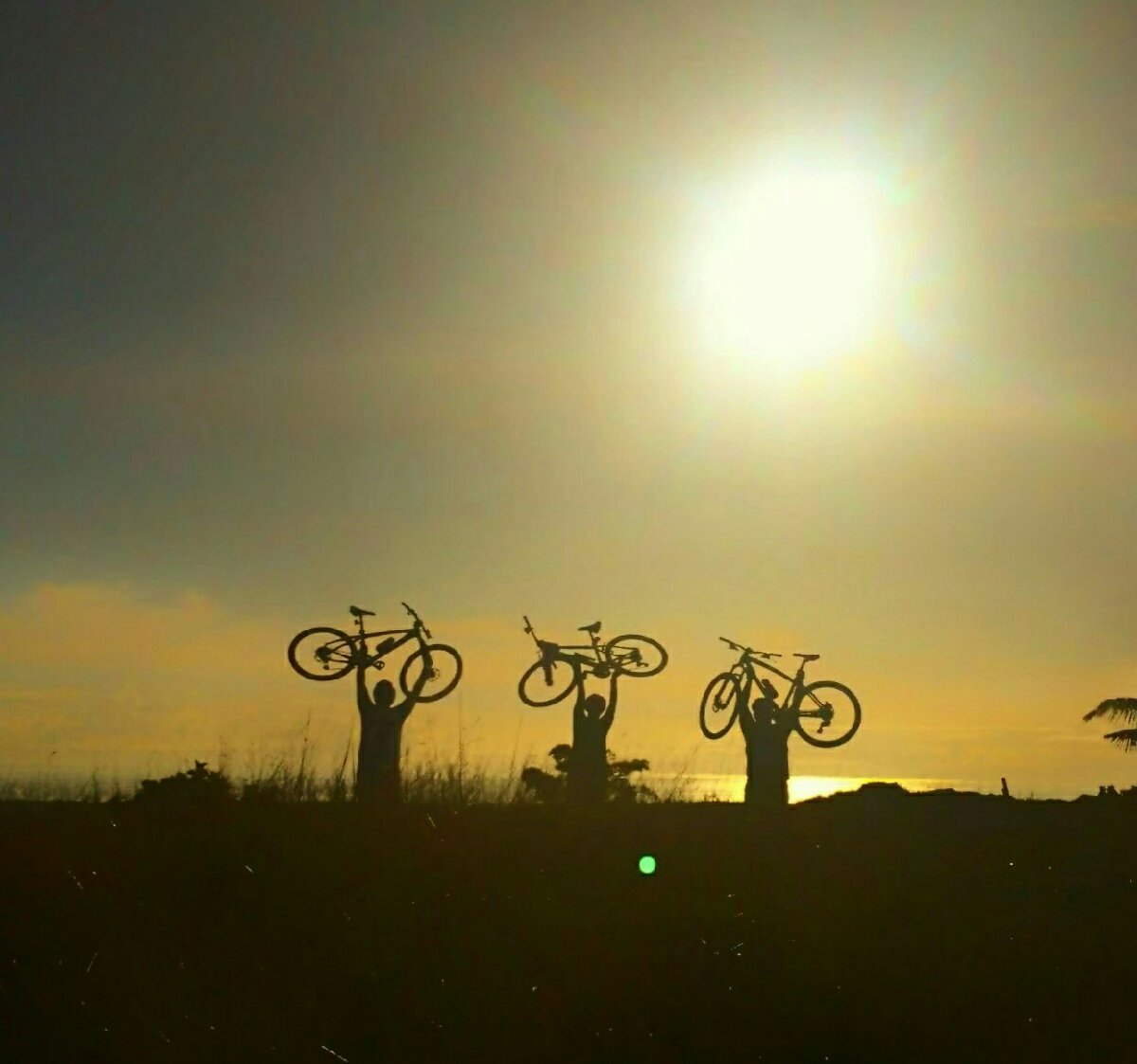 biking with friends