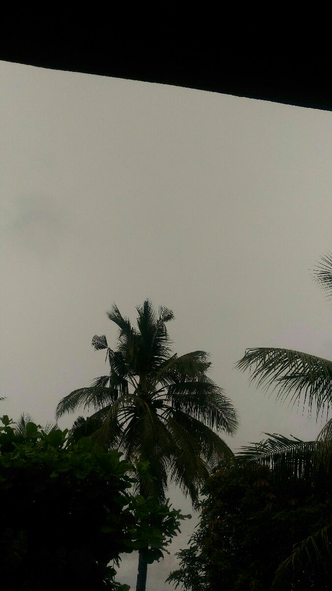 dark sky