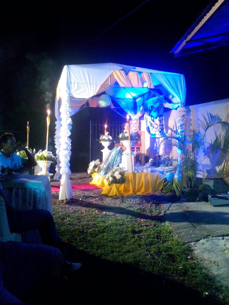 debut