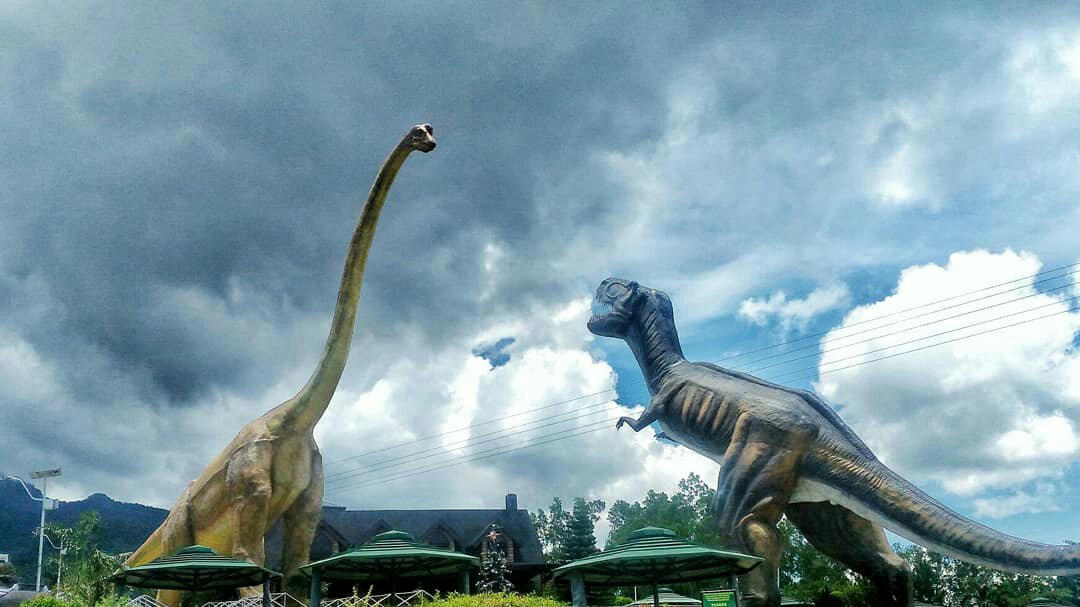 dinosaurs