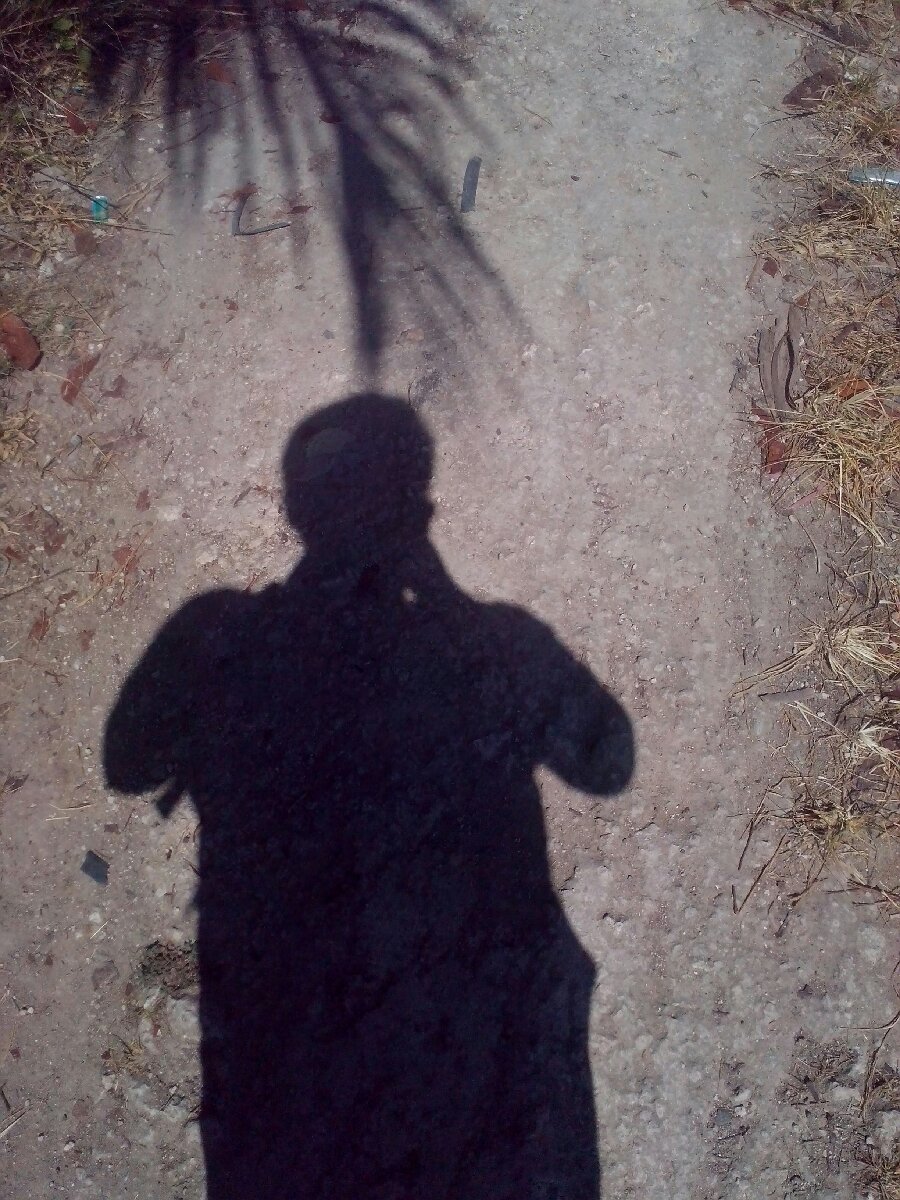 shadow