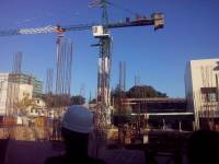 crane