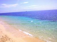 alcoy