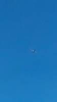 airplane