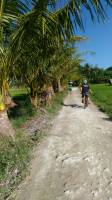 trail