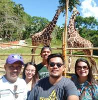 Family and giraffes 
