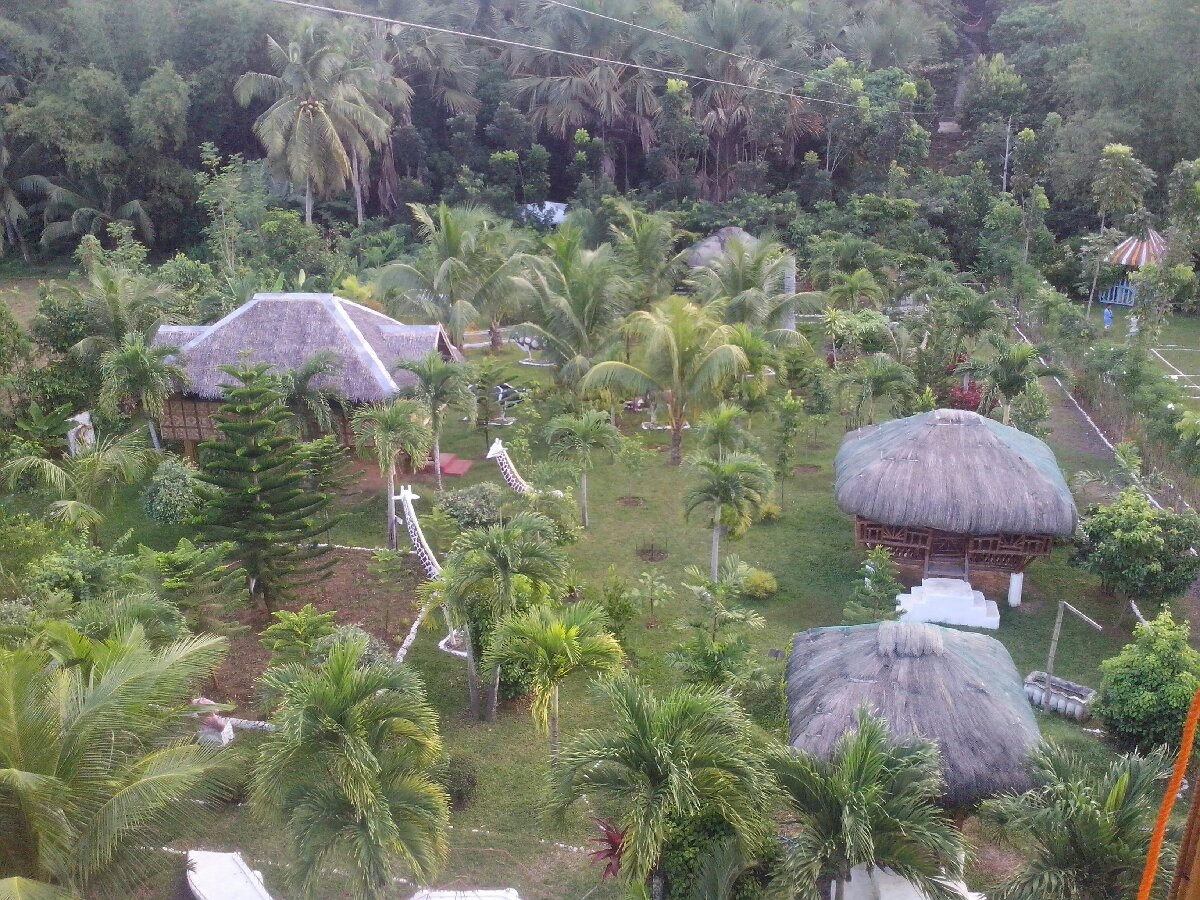 tilhaong