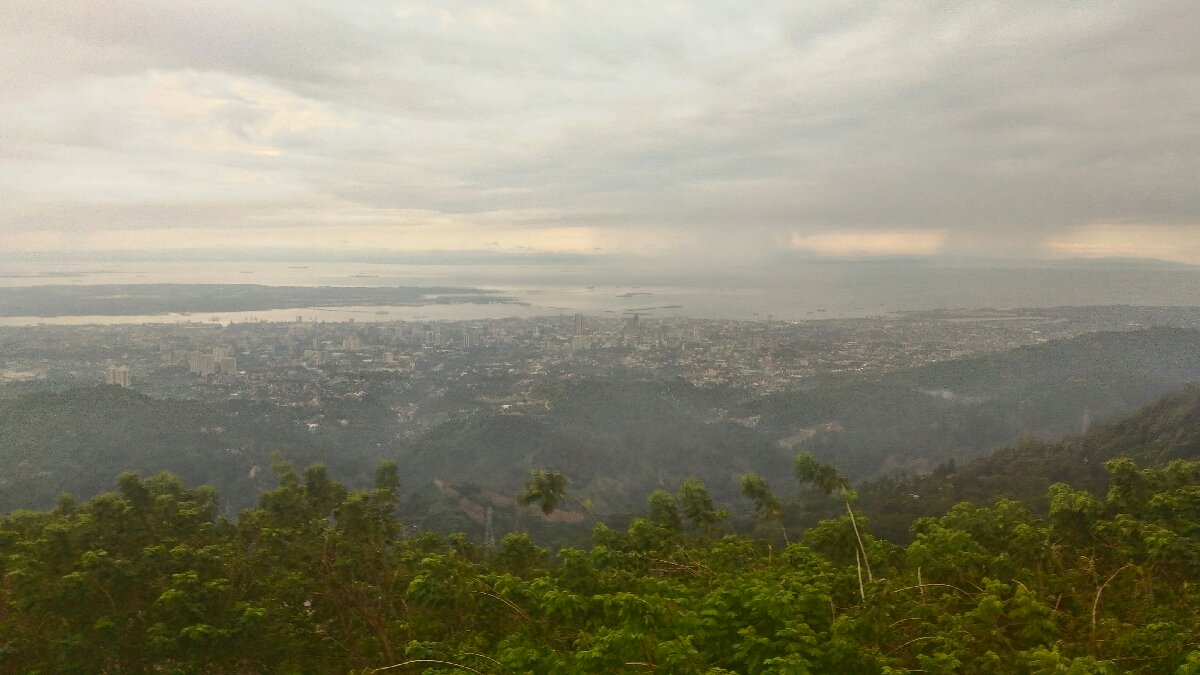 tops
