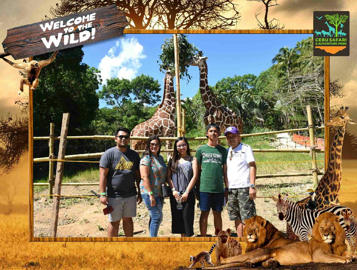 welcome to the wild