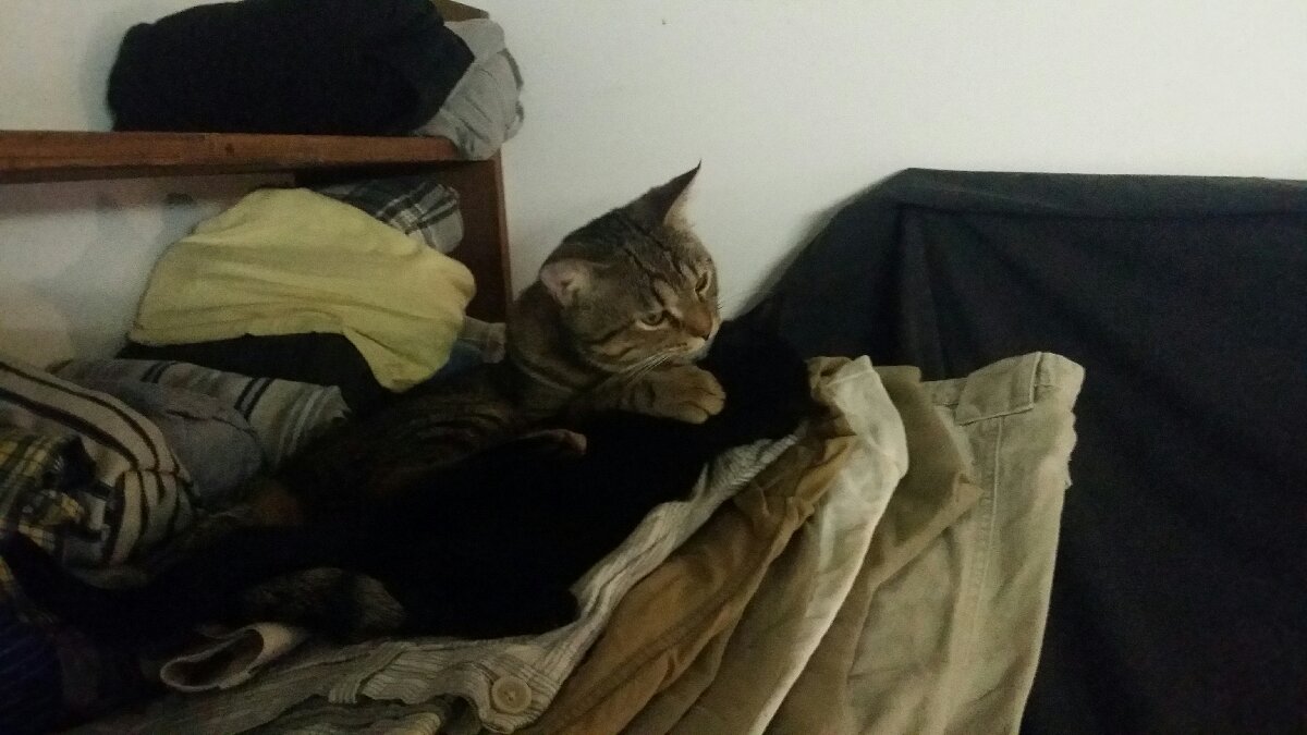 o
