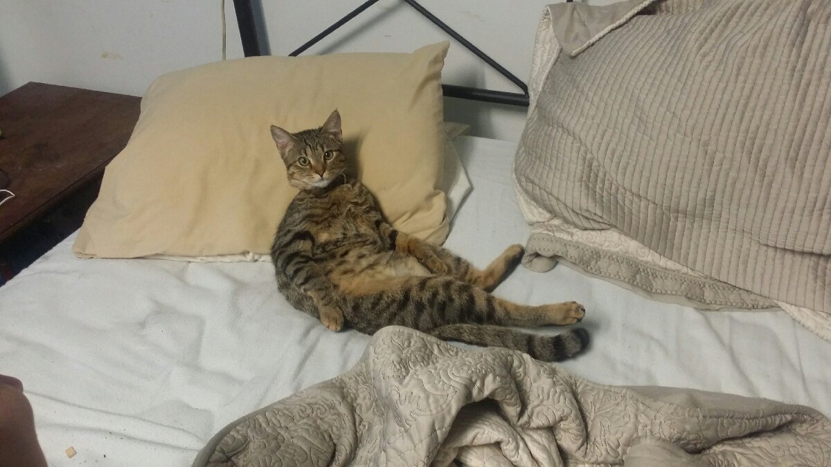 sleepyboy 