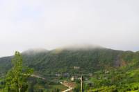 dalaguete, greens, fogs, mornings, nature, minibaguio