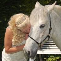 Horse, Bride, Marriage, Love, 
