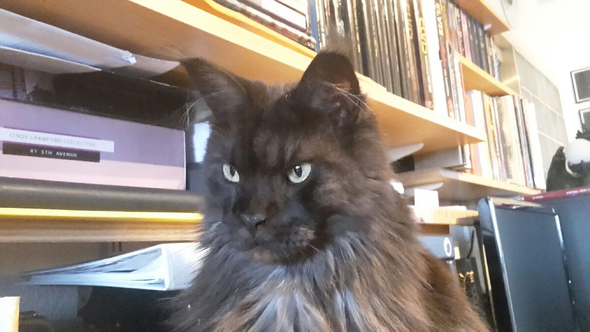 Photo uploaded by loesr36, 1