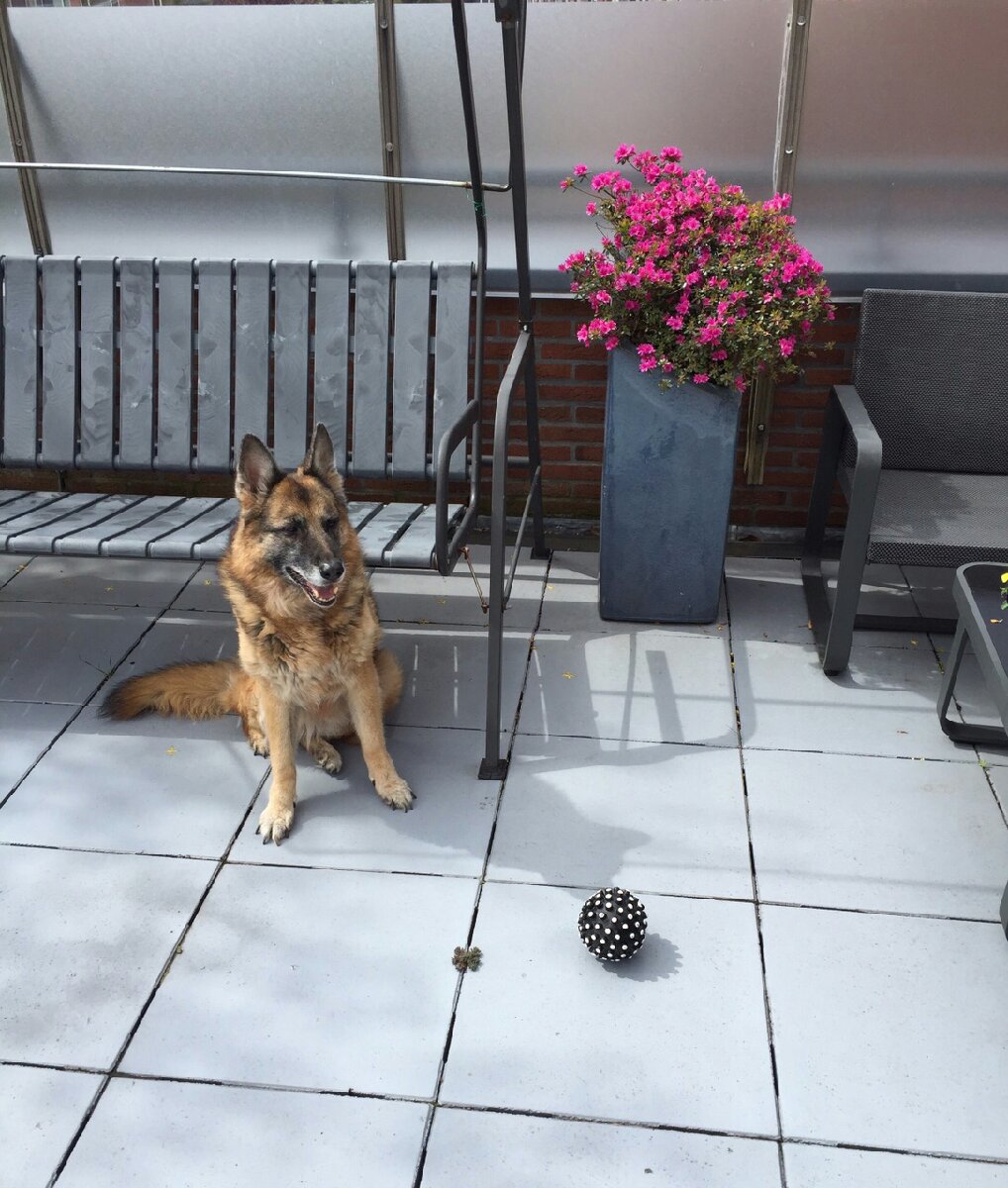 Photo uploaded by loesr36, 2