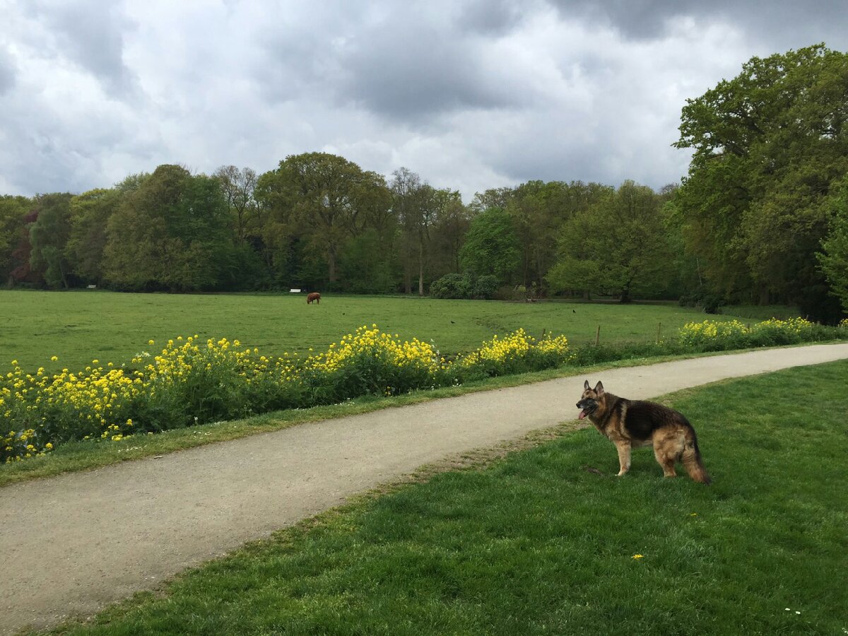 Photo uploaded by loesr36, 3