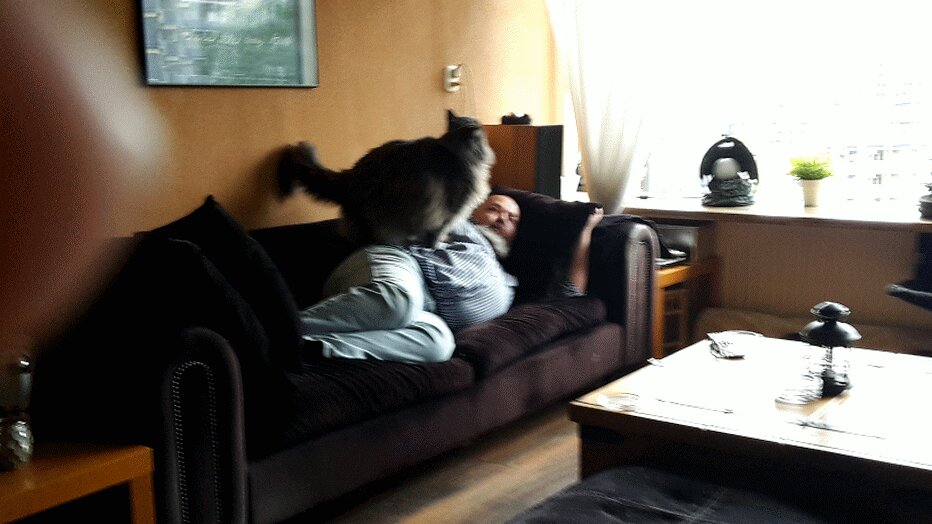 Photo uploaded by loesr36, 4