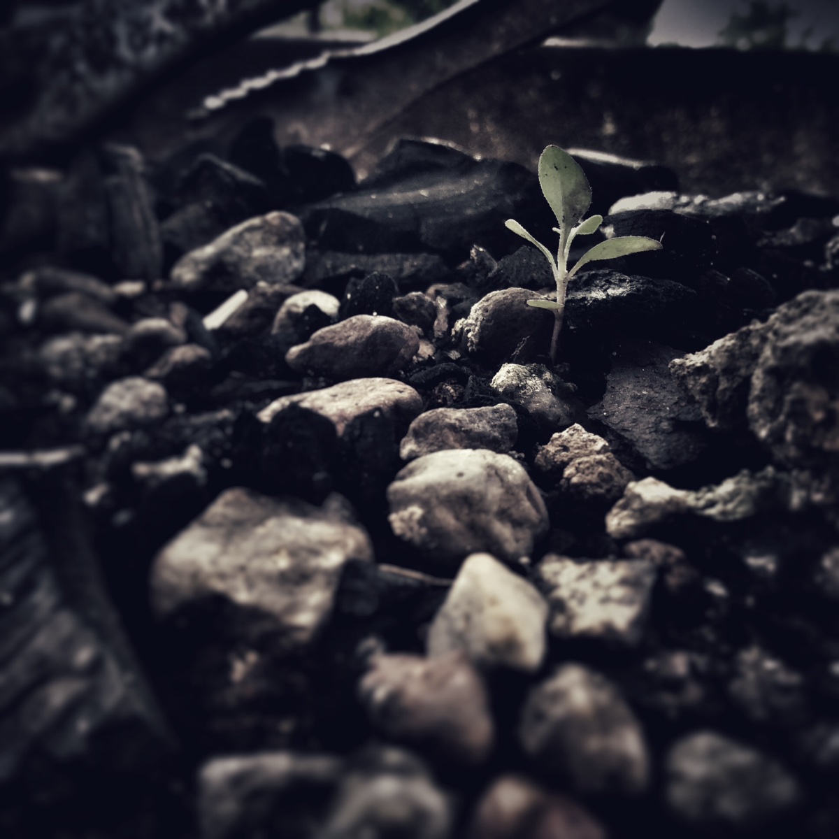 #amateur, #photography