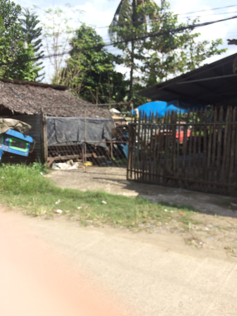 Balamban
