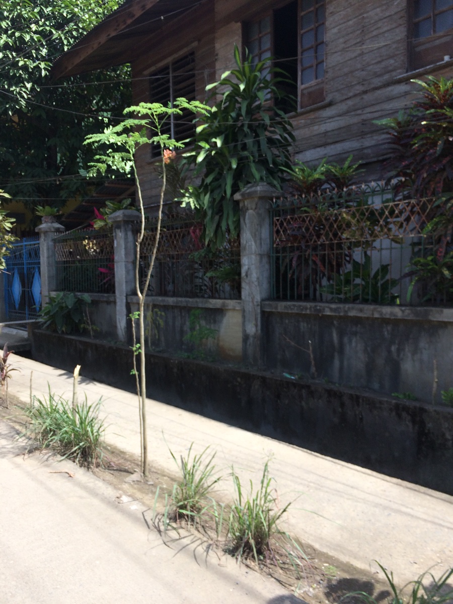 Balamban