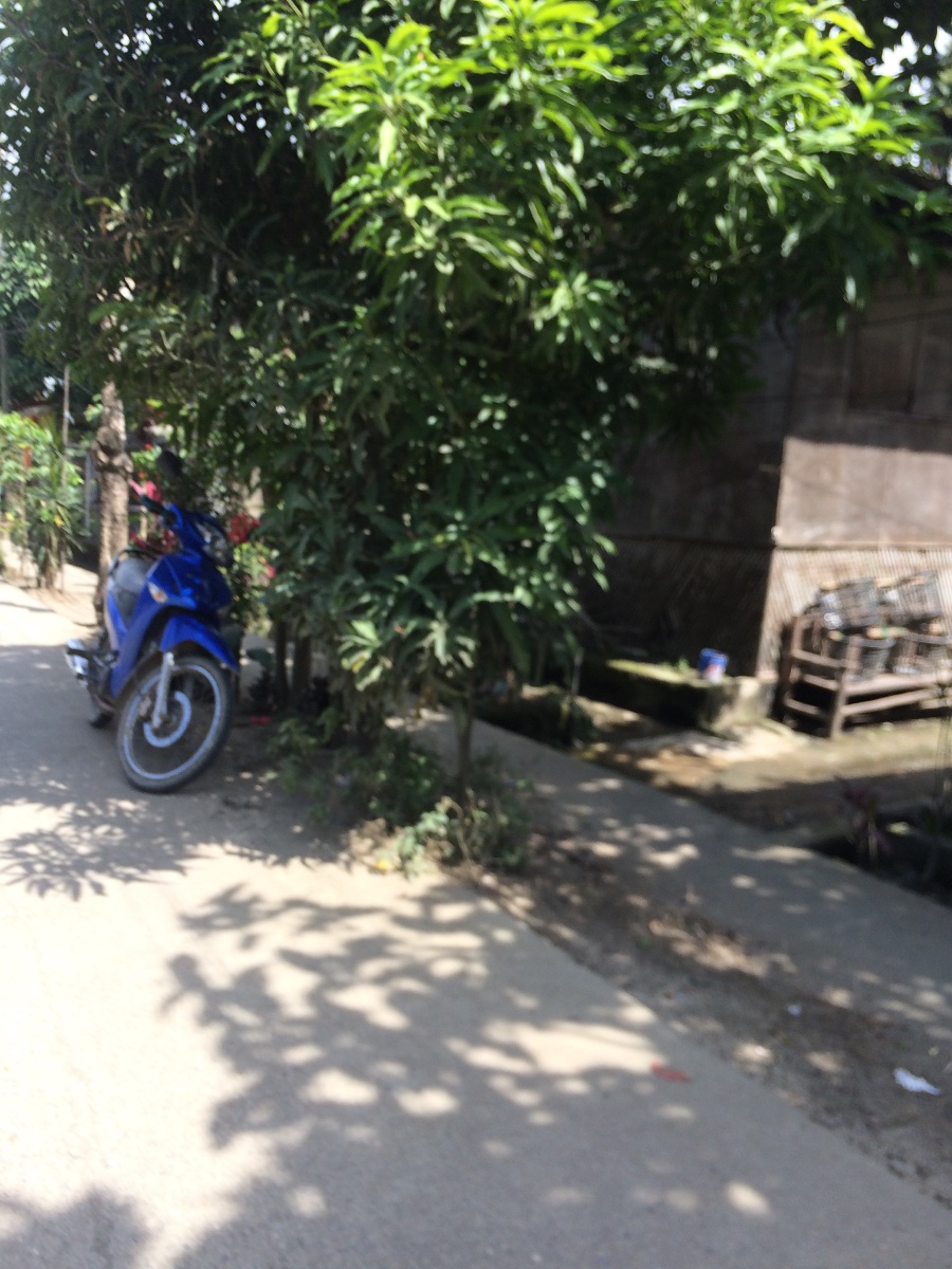 Balamban