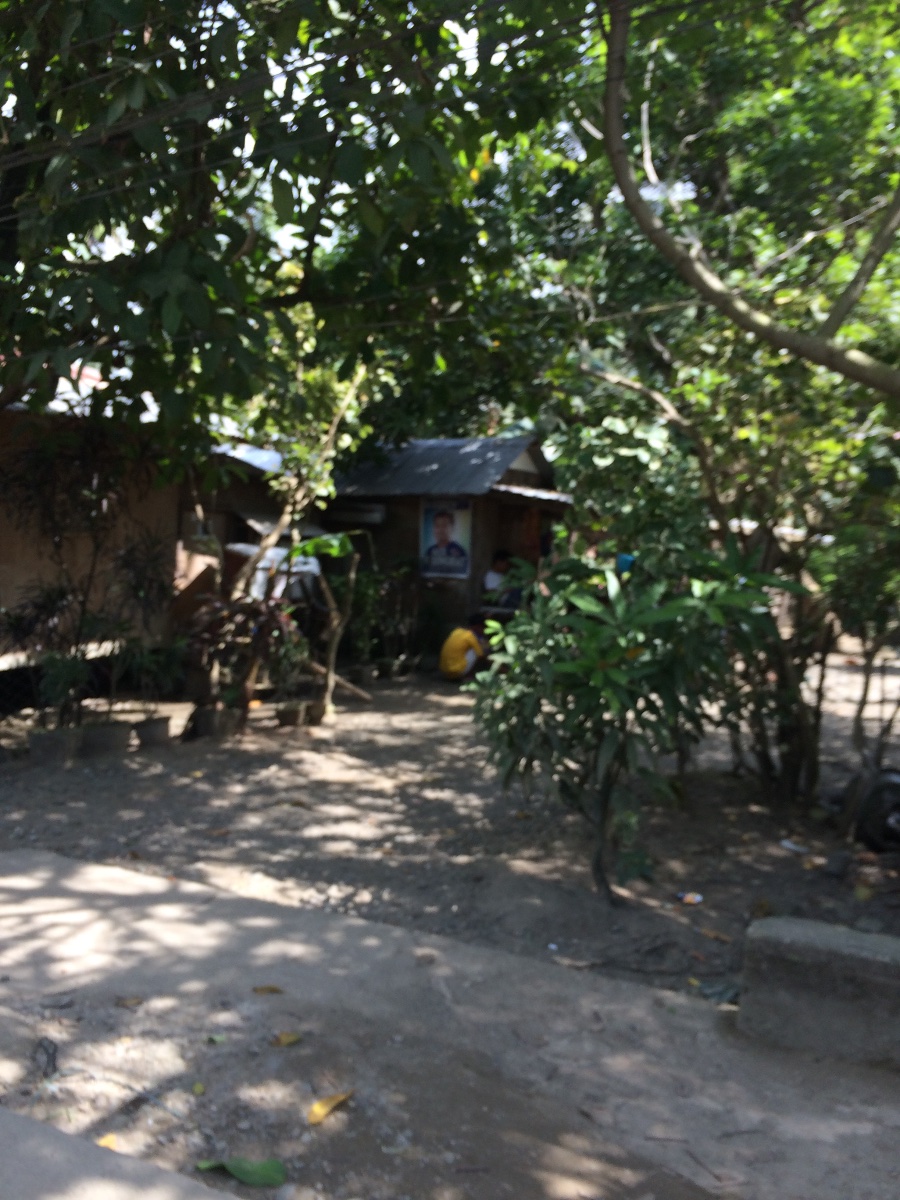 Balamban