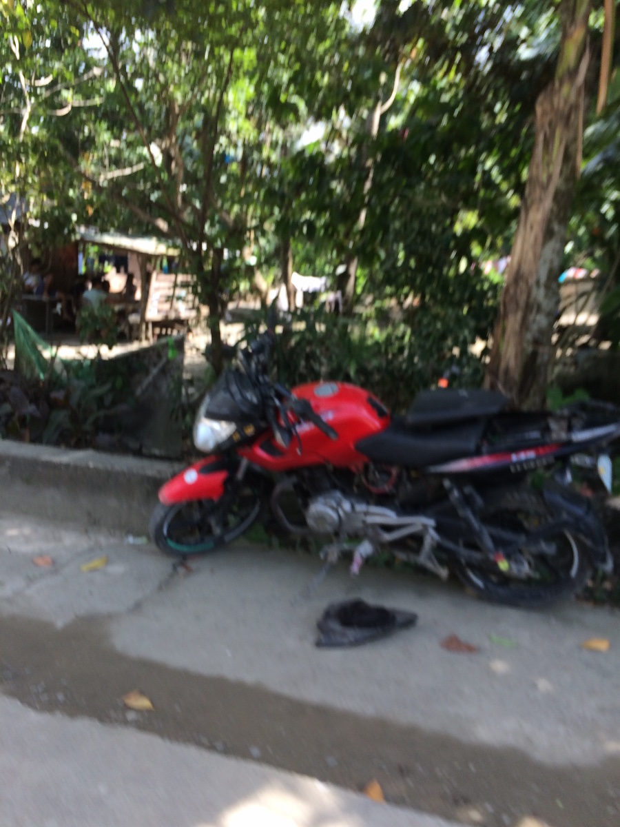 Balamban