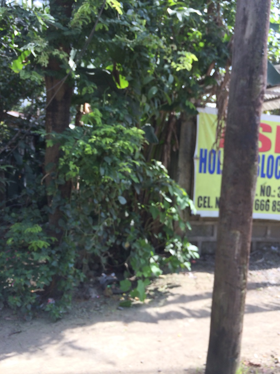 Balamban