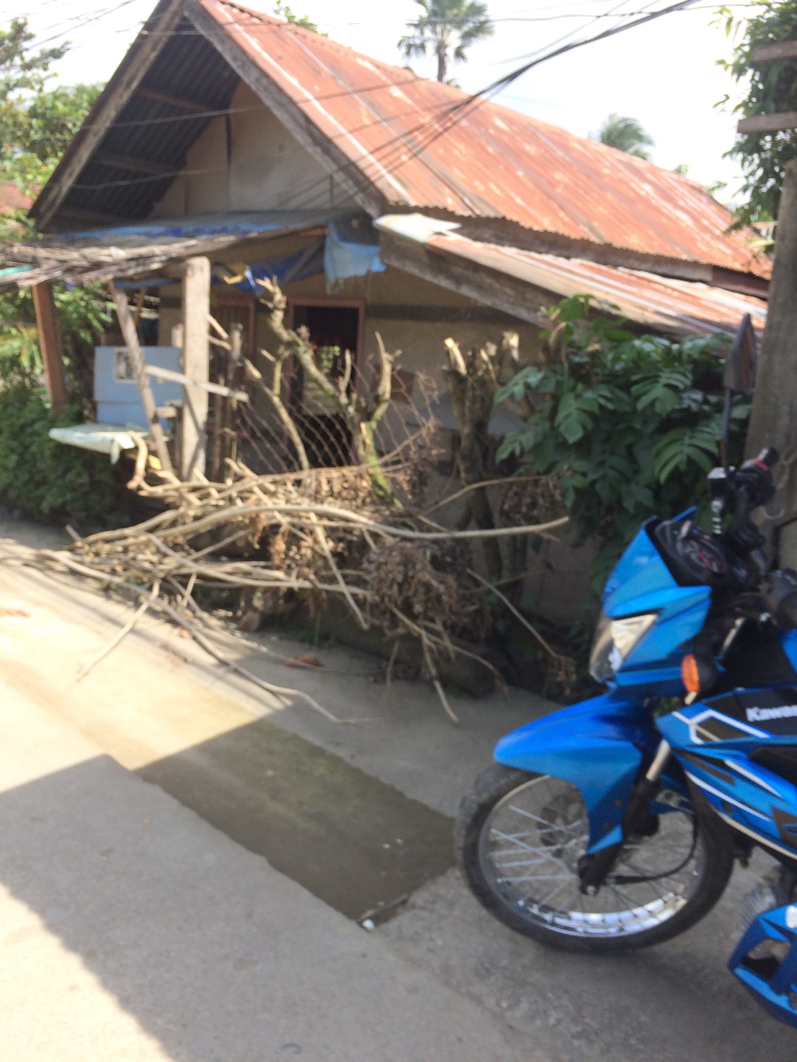 Balamban