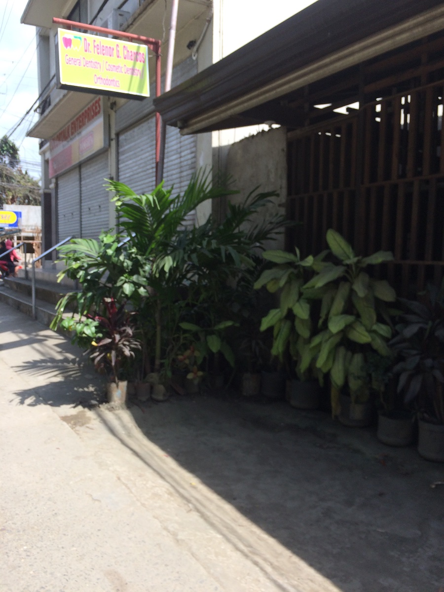 Balamban