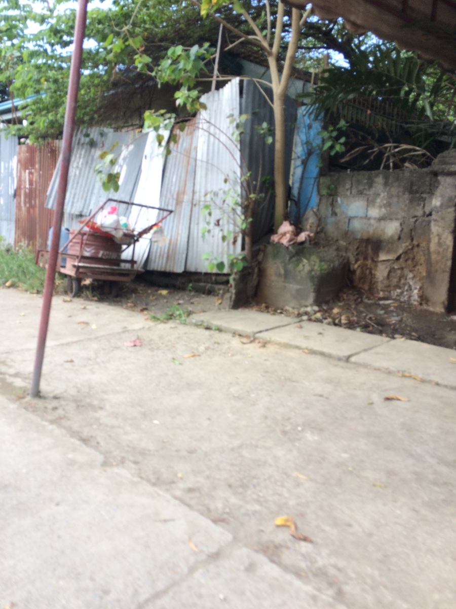 Balamban