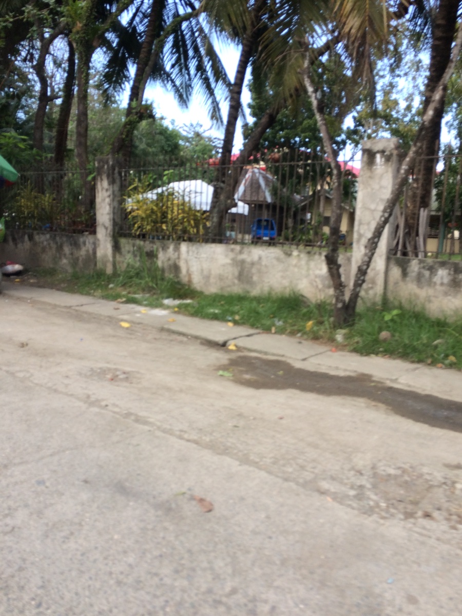 Balamban