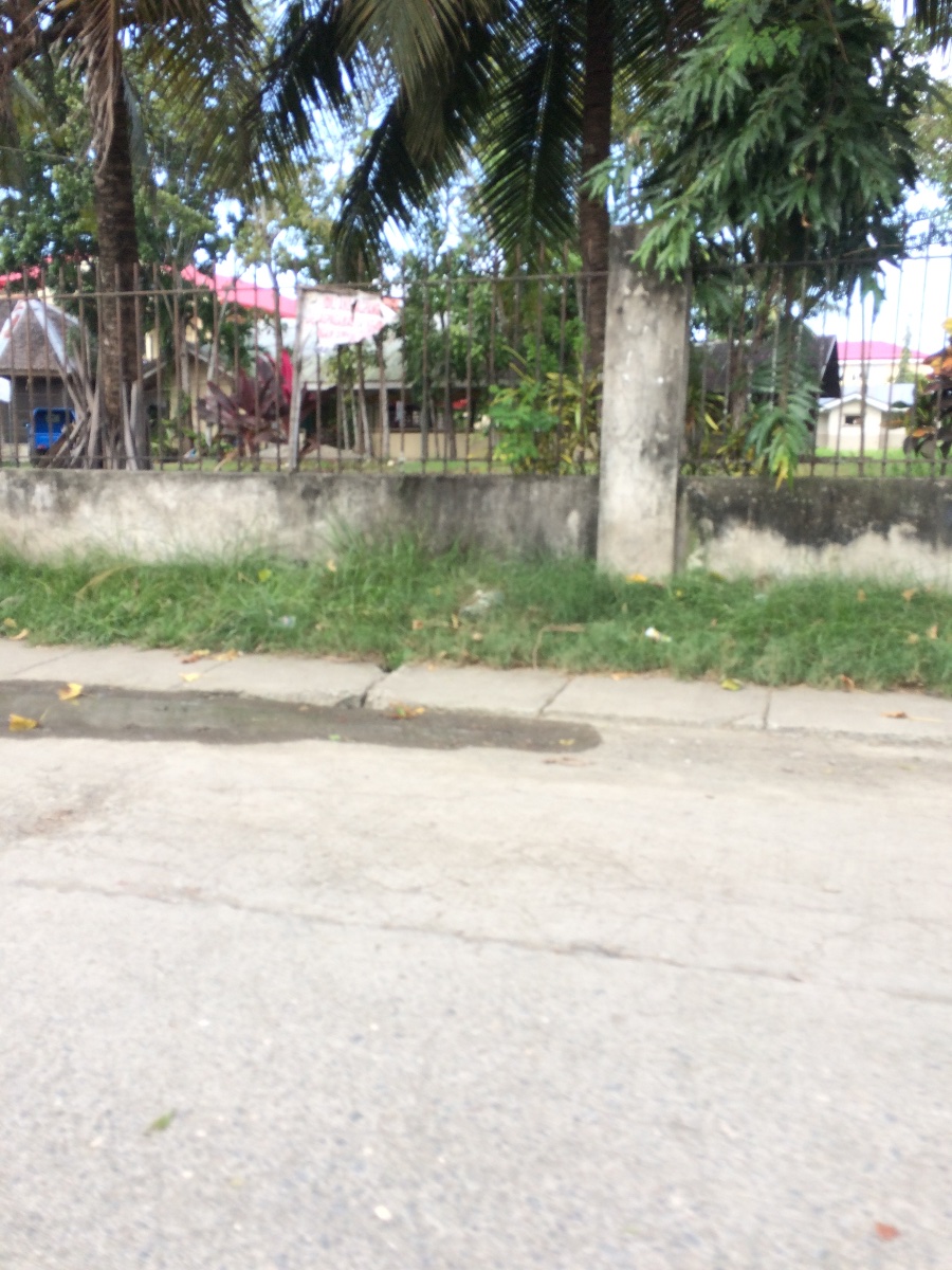 Balamban