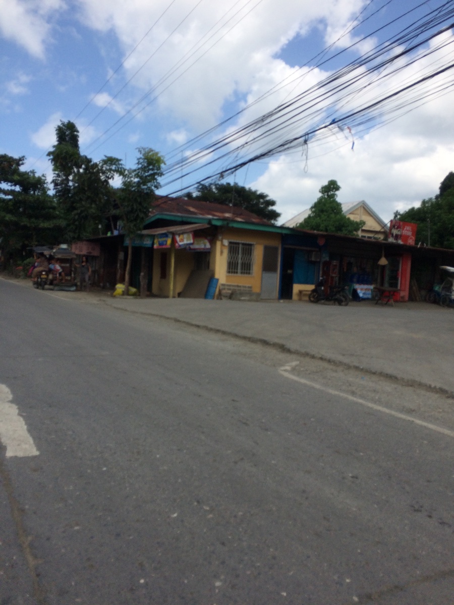 Balamban