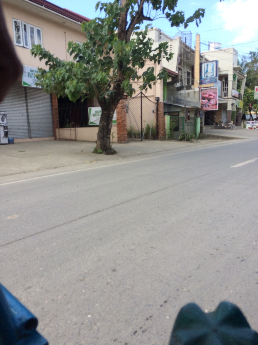 Balamban