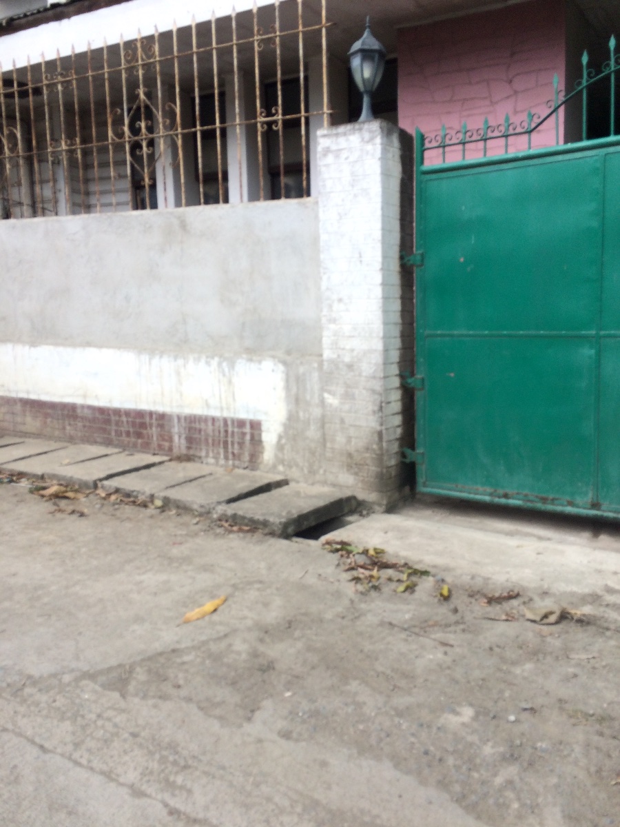 Balamban