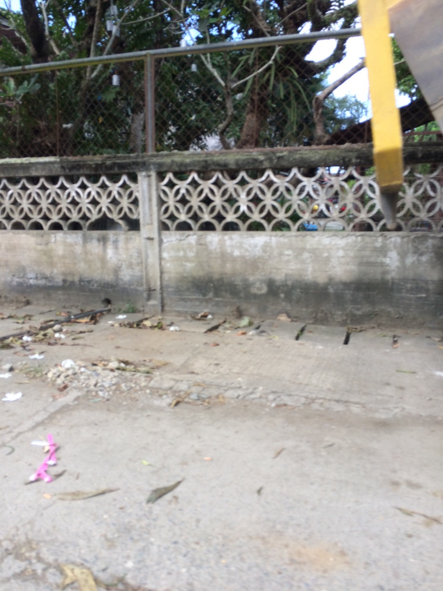 Balamban