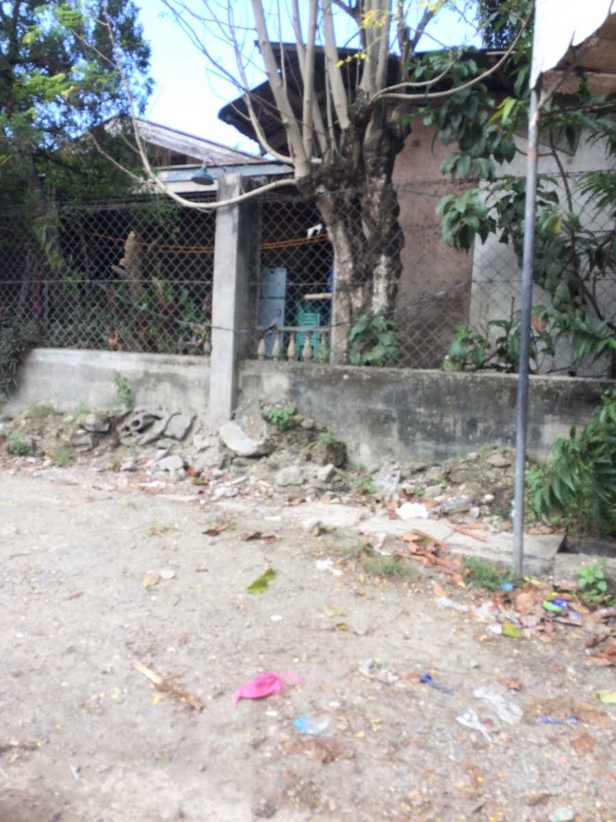 Balamban