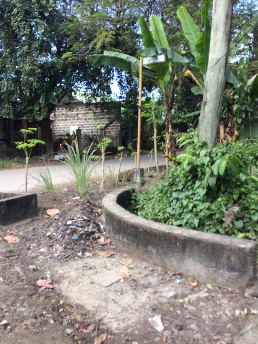 Balamban