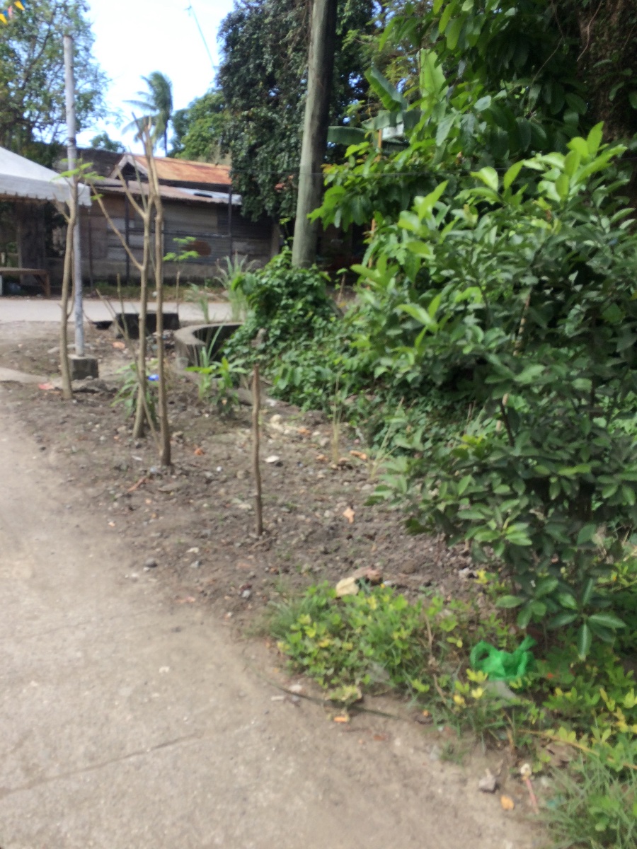 Balamban